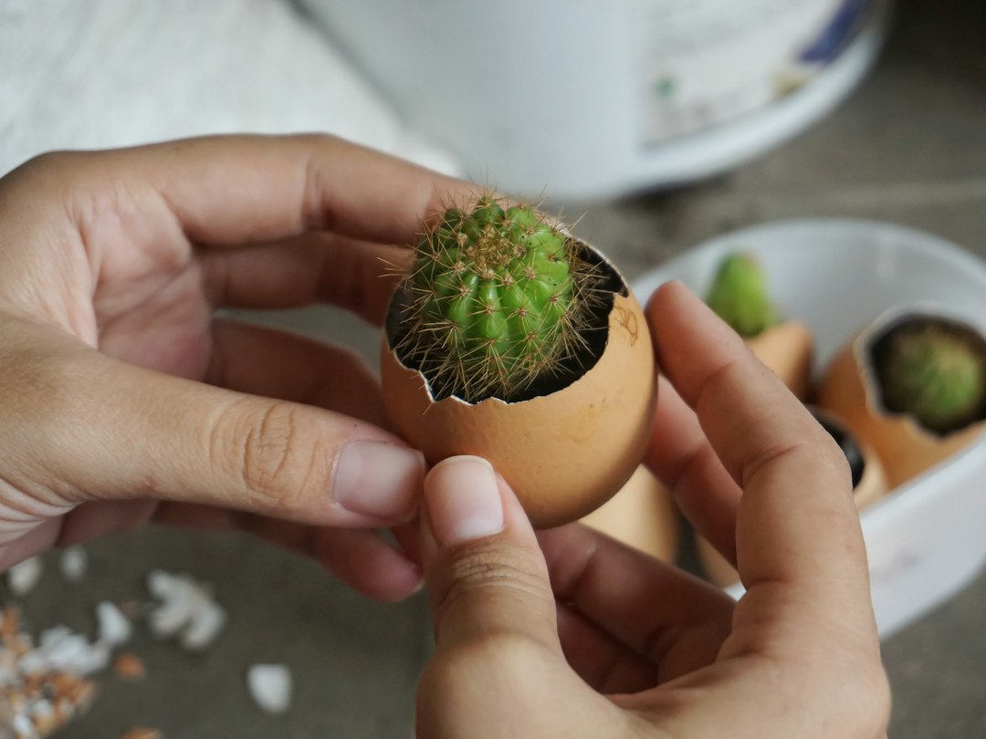 Visual illustration for 蚯蚓箱添加蛋壳
