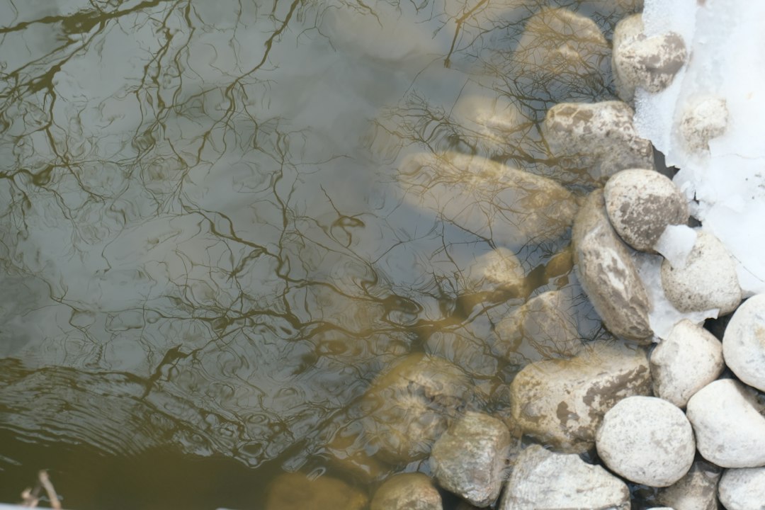 Visual illustration for 蚯蚓箱积水处理