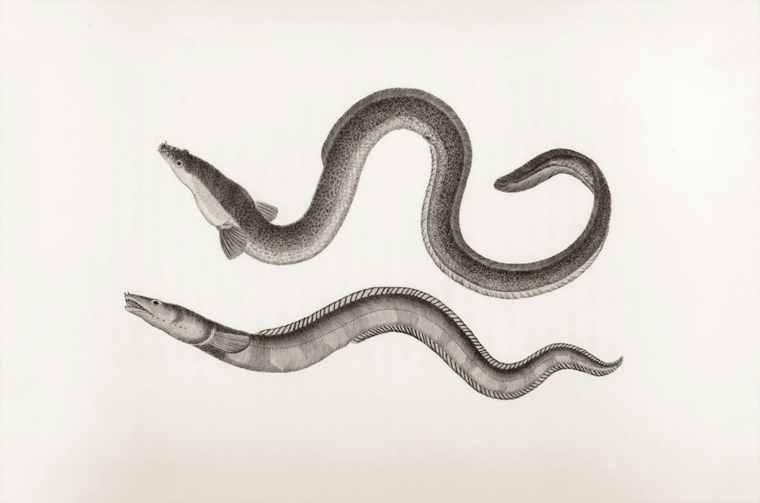 Visual illustration for 蚯蚓逃跑原因